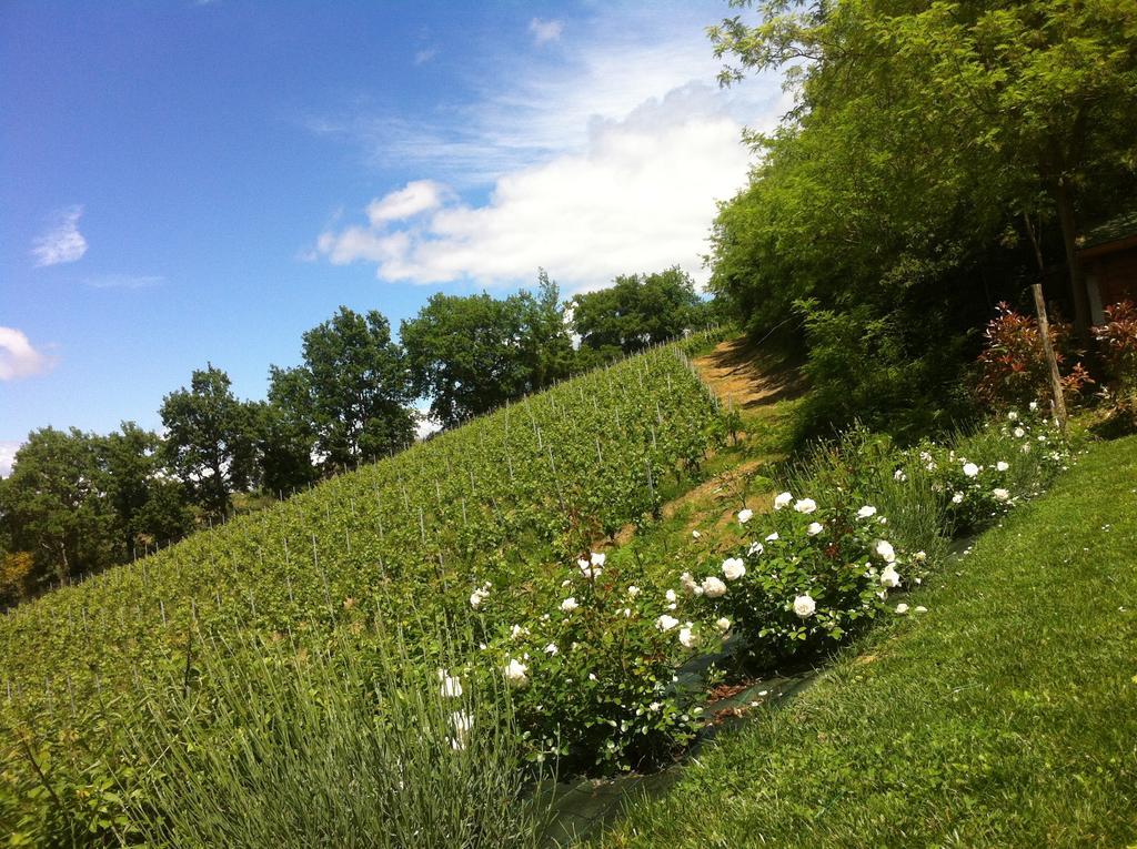Villa Del Sole San Gimignano Luaran gambar